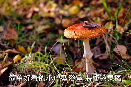簡單好看的小戶型浴室 裝修效果圖