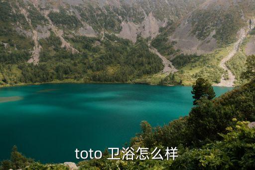 toto 衛(wèi)浴怎么樣