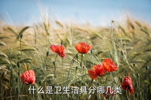 衛(wèi)浴支撐器制作圖片欣賞