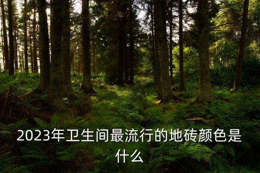 2023年衛(wèi)生間最流行的地磚顏色是什么