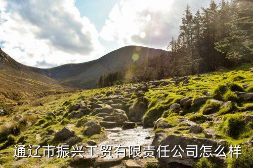  通遼市振興工貿(mào)有限責(zé)任公司怎么樣
