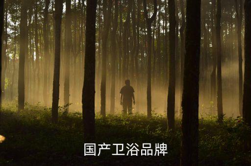 國產(chǎn)衛(wèi)浴品牌