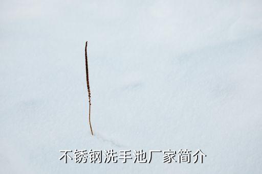  不銹鋼洗手池廠家簡介
