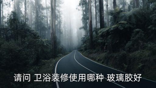 請(qǐng)問 衛(wèi)浴裝修使用哪種 玻璃膠好