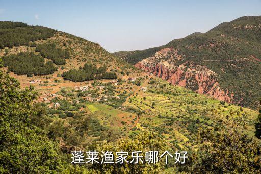 蓬萊漁家樂哪個好