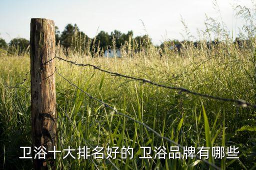 工裝衛(wèi)浴品牌推薦圖文介紹