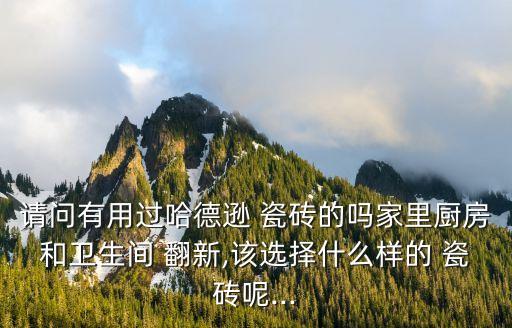 請(qǐng)問(wèn)有用過(guò)哈德遜 瓷磚的嗎家里廚房和衛(wèi)生間 翻新,該選擇什么樣的 瓷磚呢...