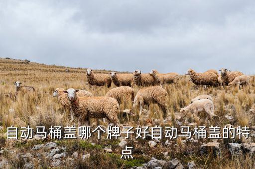 自動(dòng)馬桶蓋哪個(gè)牌子好自動(dòng)馬桶蓋的特點(diǎn)