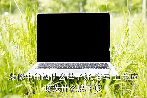 裝修中角閥什么牌子好,浴室 五金應(yīng)該選什么牌子呢