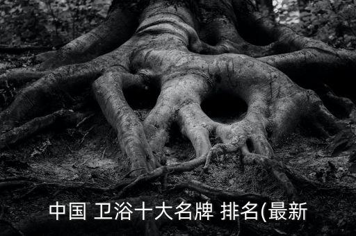 中國 衛(wèi)浴十大名牌 排名(最新