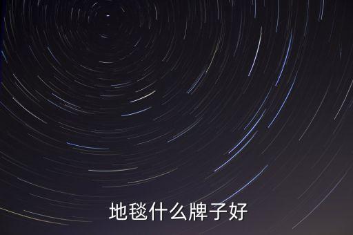  地毯什么牌子好