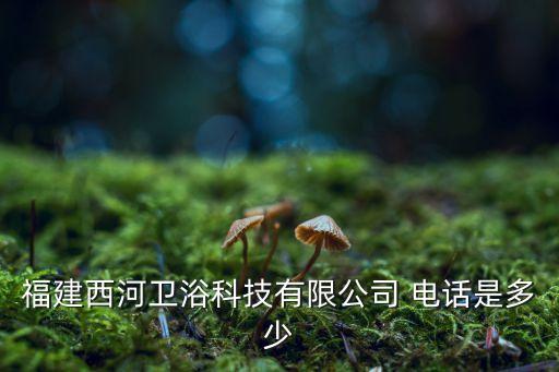 福建西河衛(wèi)浴科技有限公司 電話是多少