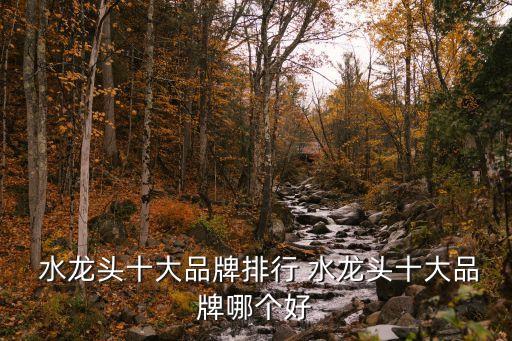 耐用的衛(wèi)浴水龍頭品牌排名,水龍頭badge是什么衛(wèi)浴品牌