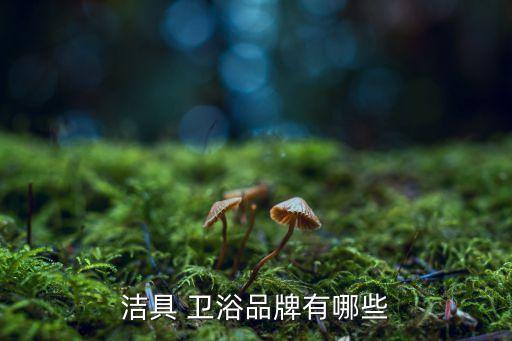 潔具 衛(wèi)浴品牌有哪些