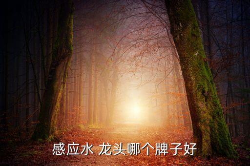 感應(yīng)水 龍頭哪個(gè)牌子好