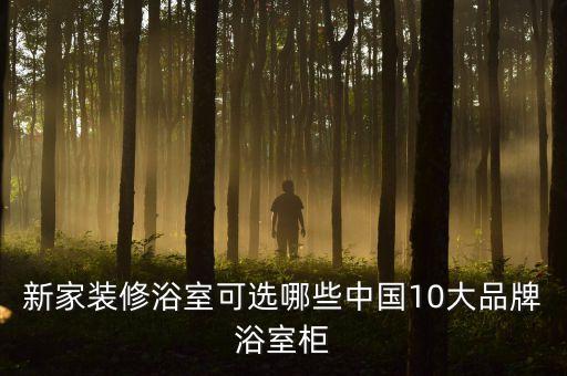 歐派衛(wèi)浴收納柜子設(shè)計圖片
