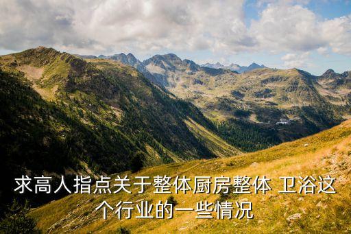 求高人指點(diǎn)關(guān)于整體廚房整體 衛(wèi)浴這個(gè)行業(yè)的一些情況
