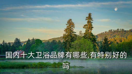 賣衛(wèi)浴推薦品牌店,衛(wèi)浴不加盟能賣別人的品牌嗎