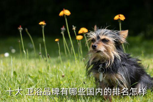 歐冠潔具衛(wèi)浴品牌,中國潔具衛(wèi)浴10大品牌排行榜