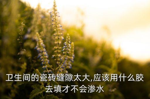 衛(wèi)生間的瓷磚縫隙太大,應該用什么膠去填才不會滲水