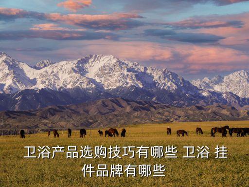  衛(wèi)浴產(chǎn)品選購技巧有哪些 衛(wèi)浴 掛件品牌有哪些
