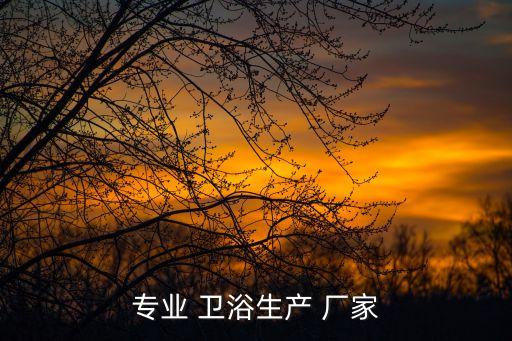 專業(yè) 衛(wèi)浴生產(chǎn) 廠家