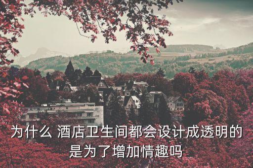 為什么 酒店衛(wèi)生間都會(huì)設(shè)計(jì)成透明的是為了增加情趣嗎