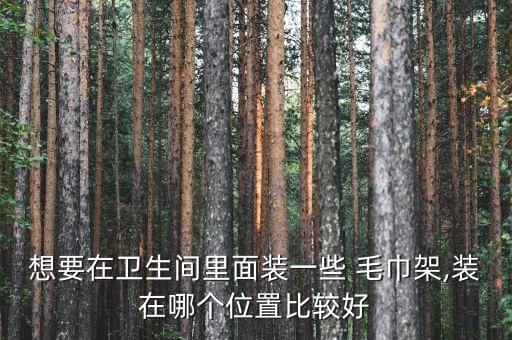 想要在衛(wèi)生間里面裝一些 毛巾架,裝在哪個位置比較好