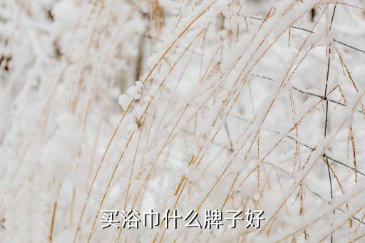 買浴巾什么牌子好