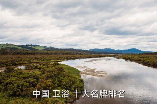 中國 衛(wèi)浴 十大名牌排名