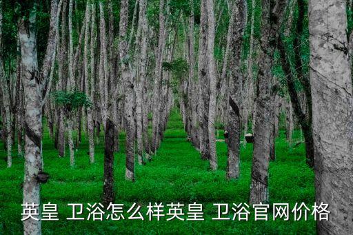 英皇 衛(wèi)浴怎么樣英皇 衛(wèi)浴官網(wǎng)價(jià)格