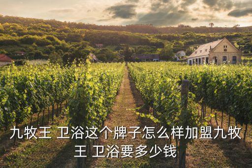 九牧王 衛(wèi)浴這個牌子怎么樣加盟九牧王 衛(wèi)浴要多少錢