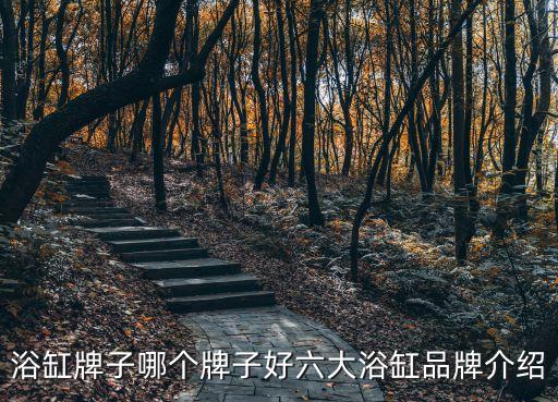 杭州toto衛(wèi)浴總代理地址,重慶toto衛(wèi)浴總代理