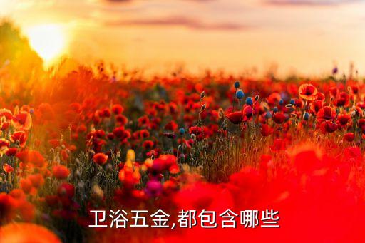 衛(wèi)浴主體配件圖片高清大圖
