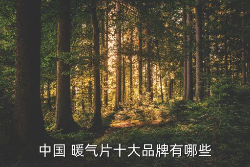 中國 暖氣片十大品牌有哪些