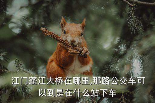  江門蓬江大橋在哪里,那路公交車可以到是在什么站下車