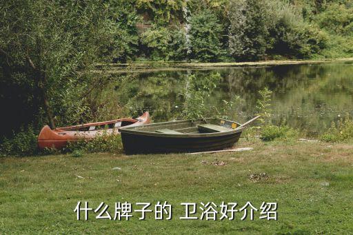 什么牌子的 衛(wèi)浴好介紹