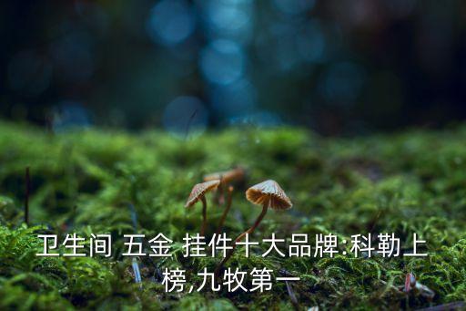 衛(wèi)浴五金掛件品牌盤點(diǎn),帝朗衛(wèi)浴五金掛件怎么樣
