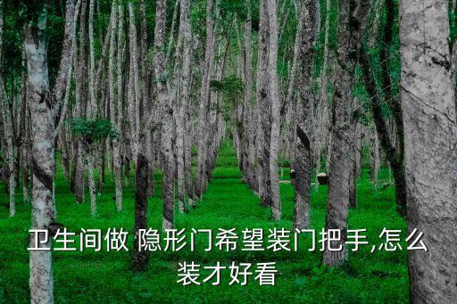 衛(wèi)浴門隱形拉手圖片大全,最新櫥柜門隱形拉手圖片