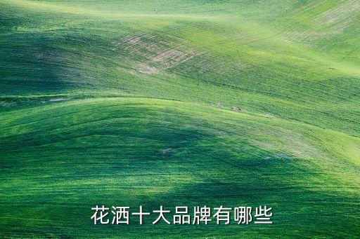  花灑十大品牌有哪些