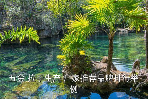五金 拉手生產(chǎn) 廠家推薦品牌排行舉例