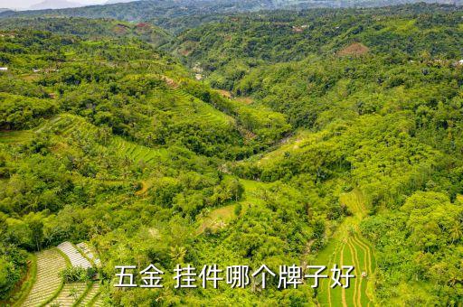 五金 掛件哪個牌子好