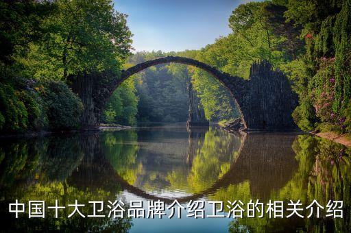 中國十大衛(wèi)浴品牌介紹衛(wèi)浴的相關介紹