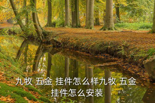 杭州衛(wèi)浴五金掛件安裝電話,衛(wèi)浴五金掛件安裝高度
