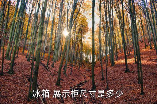 冰箱 展示柜尺寸是多少