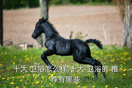 宜家精品衛(wèi)浴推薦哪款品牌