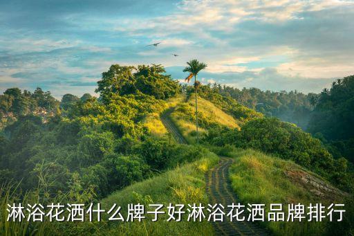 淋浴花灑什么牌子好淋浴花灑品牌排行