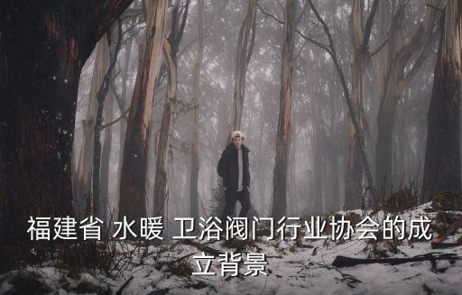 福建省 水暖 衛(wèi)浴閥門行業(yè)協(xié)會的成立背景