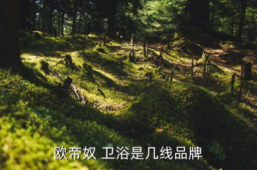 歐帝奴 衛(wèi)浴是幾線品牌