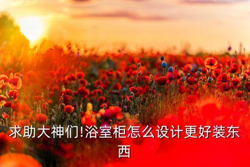 求助大神們!浴室柜怎么設(shè)計(jì)更好裝東西